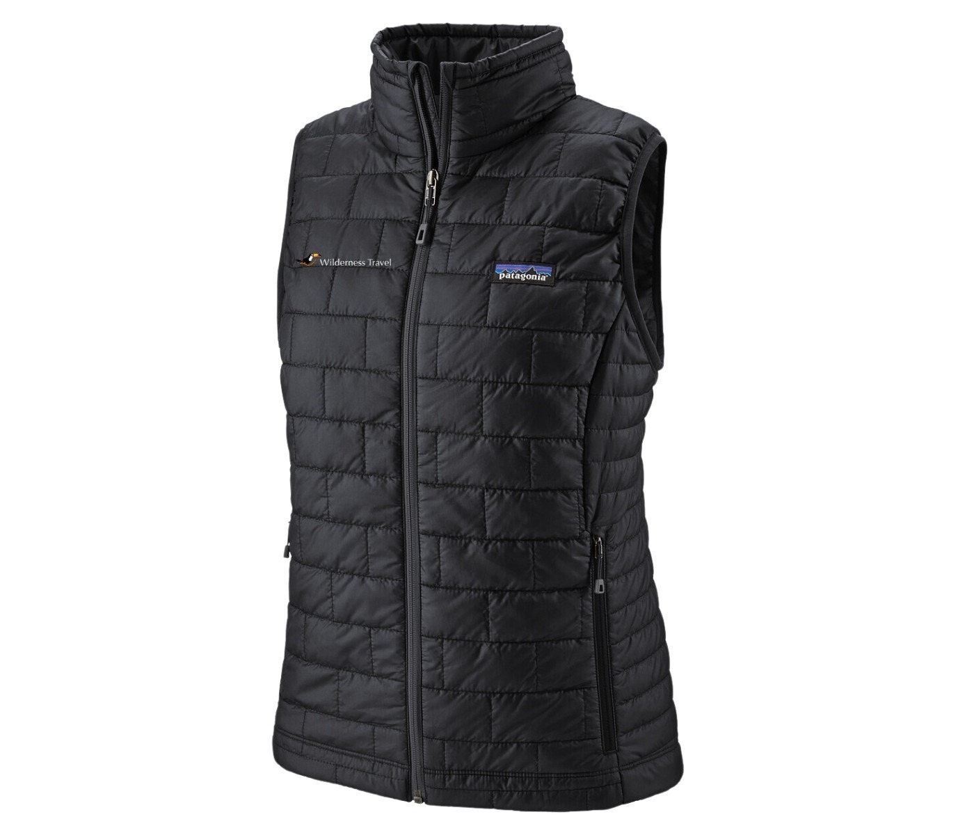 Wilderness Women's Patagonia Nano Puff Vest