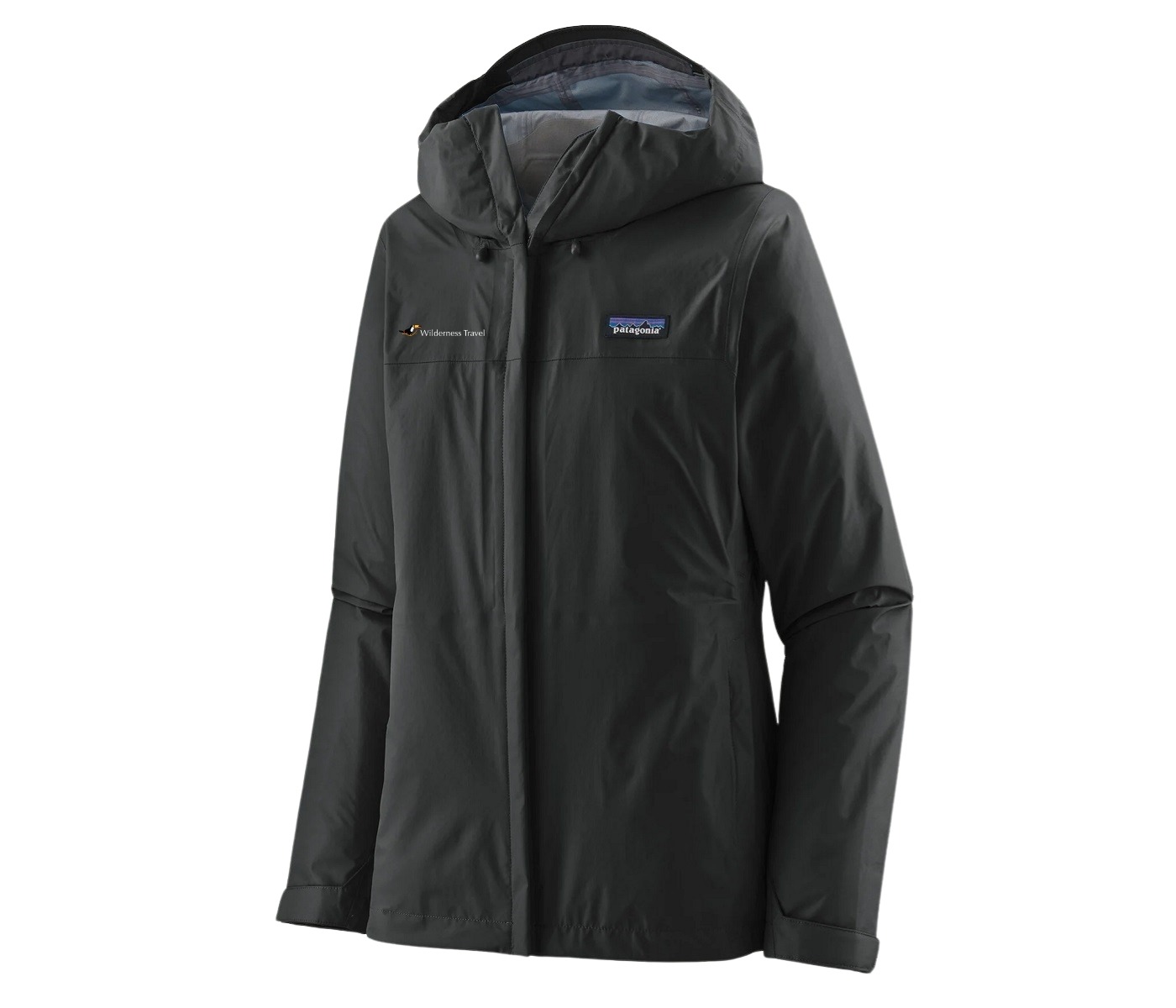 Wilderness Women's Torrentshell 3 Layer Rain Jacket by Patagonia
