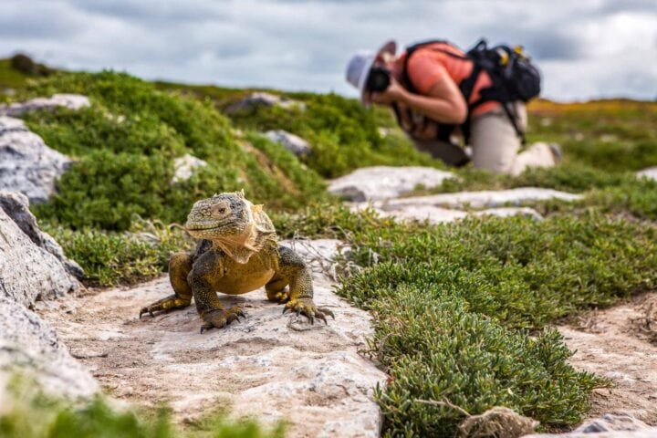 The Galapagos